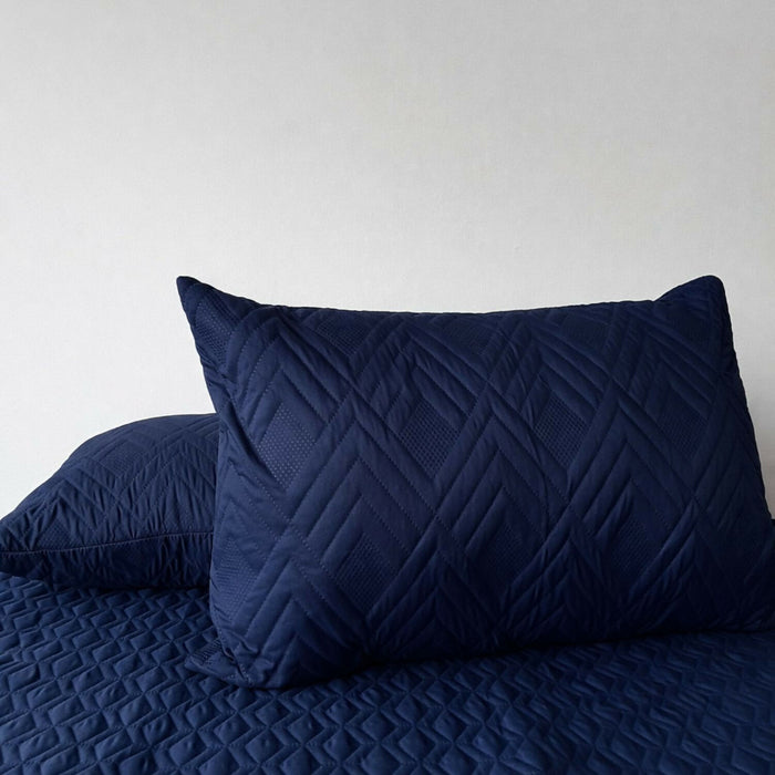 Almohada siliconada + protector almohada Set x2