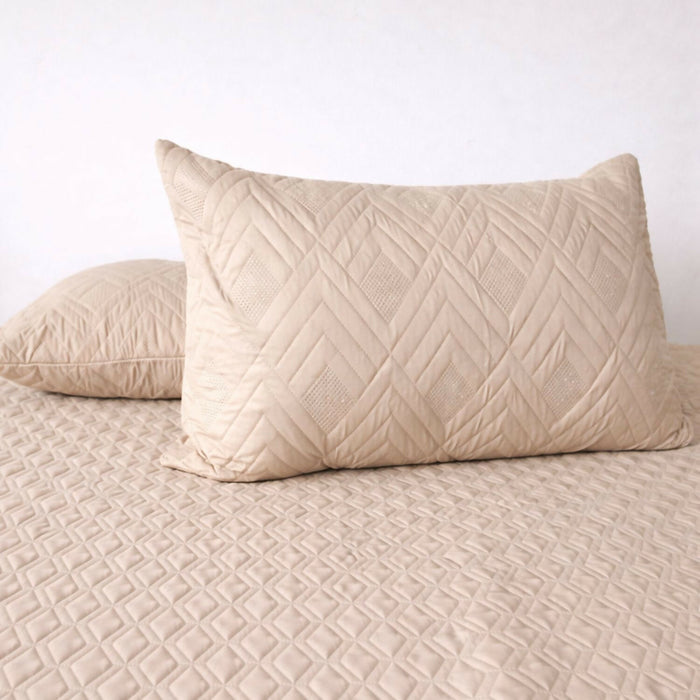Almohada siliconada + protector almohada Set x2