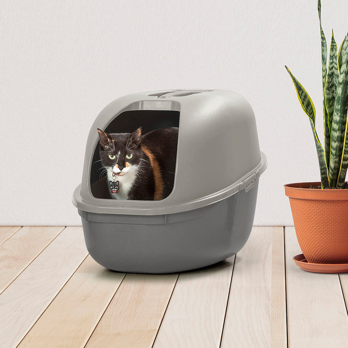 Arenero para Gato Gris