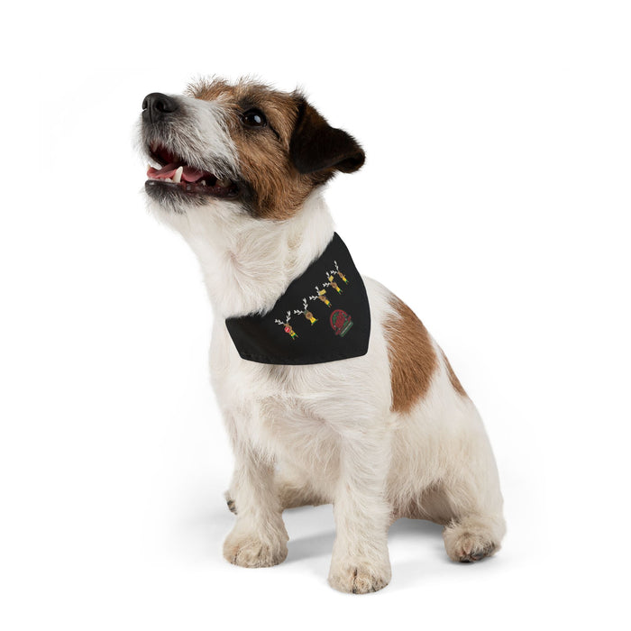 Blinky Christmas in the Park Drive-thru Pet Bandana Collar