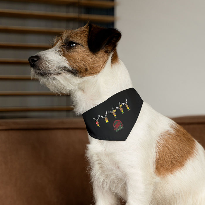 Blinky Christmas in the Park Drive-thru Pet Bandana Collar