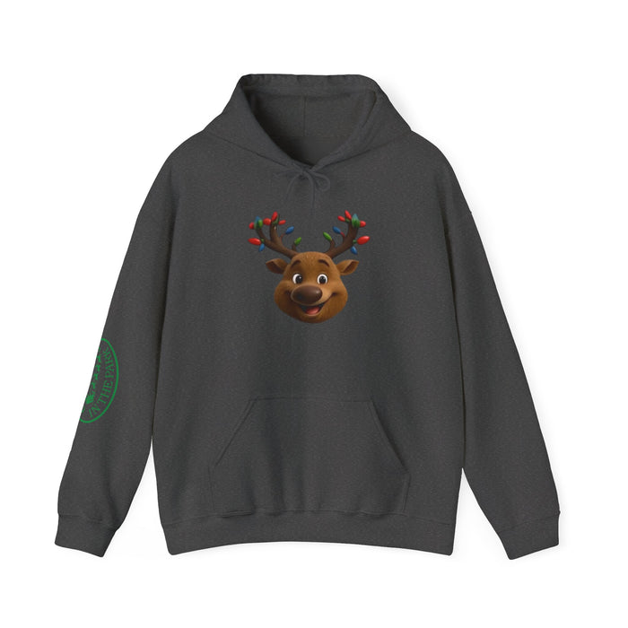 Blinky Christmas in the Park Mascot Hoodie