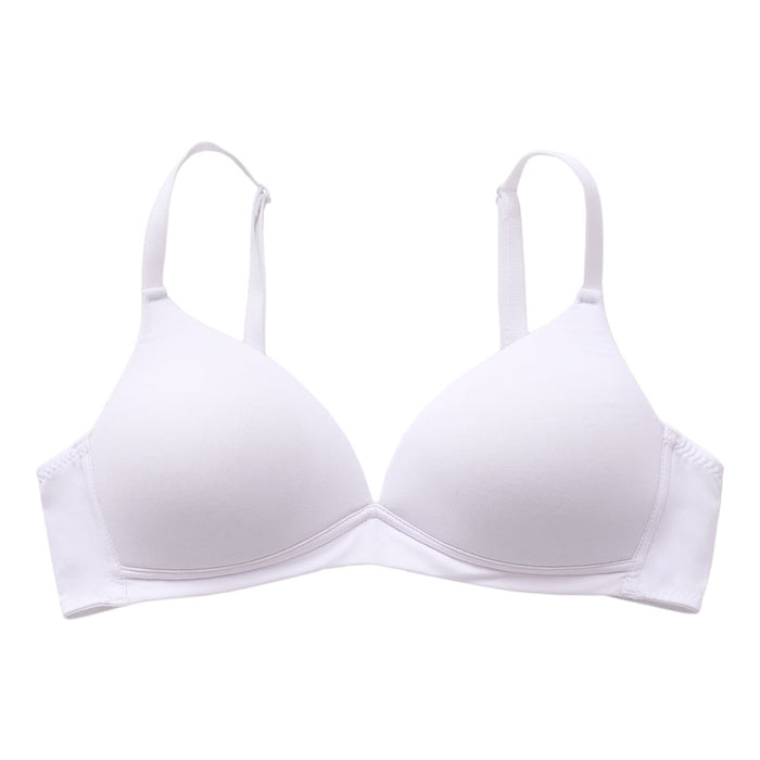 BRASIER BASICO 32029