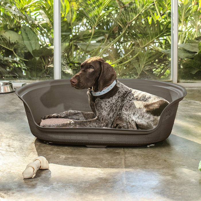 Cama para Perro Mocca