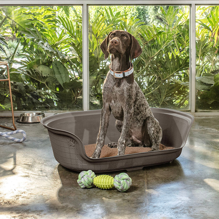 Cama para Perro Mocca