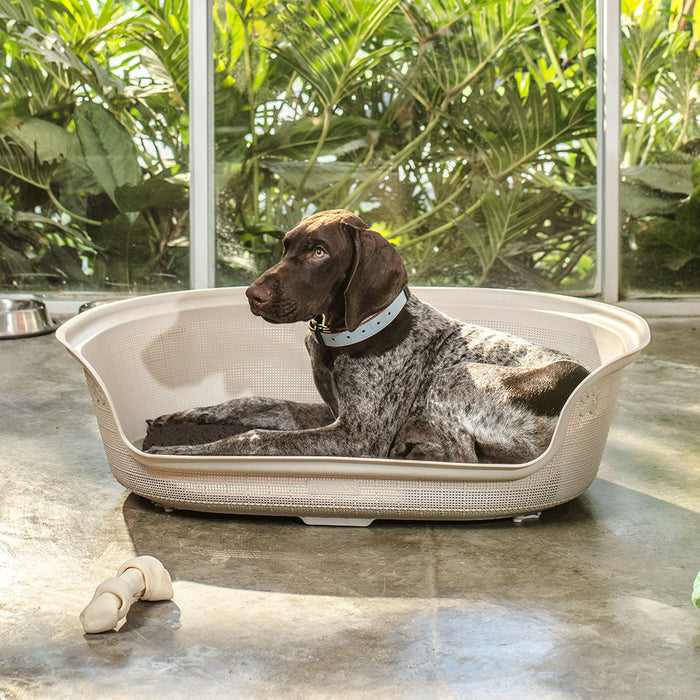 Cama para Perro Taupe