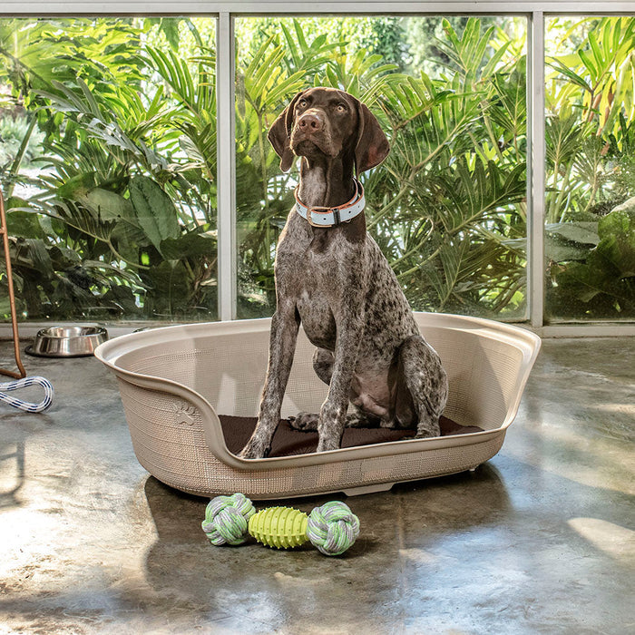 Cama para Perro Taupe