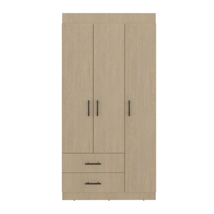 Closet Houston , Cartagena y Wengue , Con tres puertas batientes y dos cajones con amplio espacio de almacenamiento