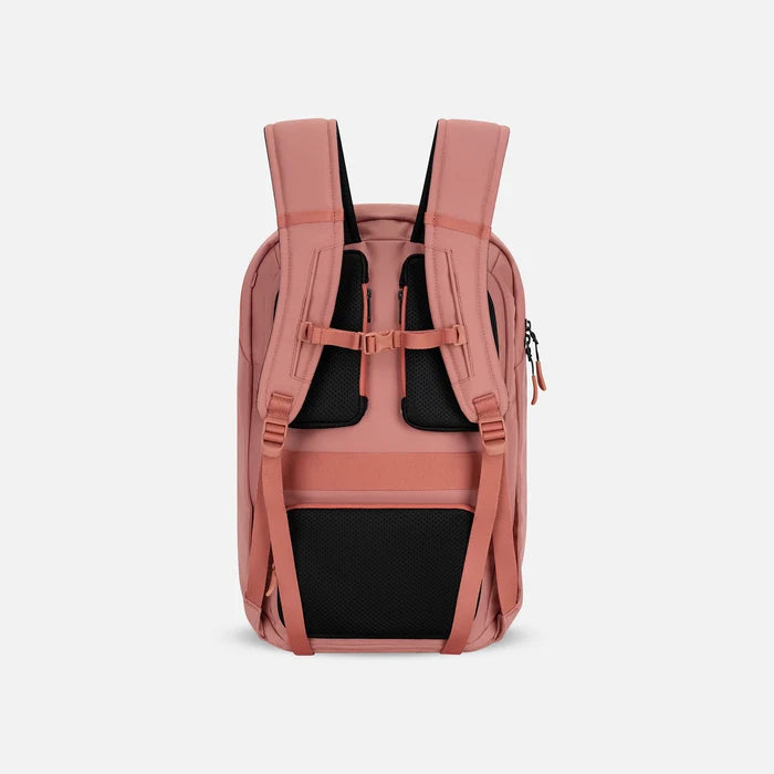 A Sherpani Crew Desert Pink Travel Backpack, back view showing back strap pockets and shoulder straps against a white background.  #color_desert-pink