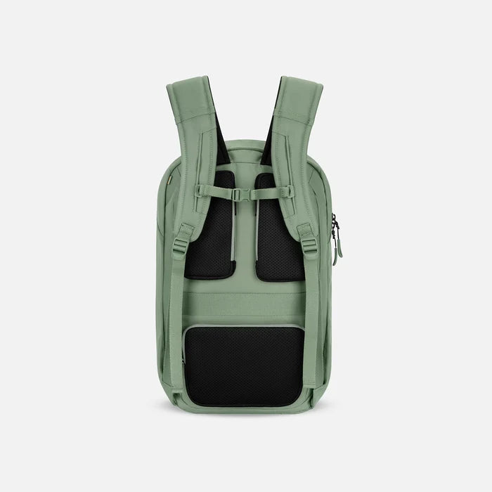 A Sherpani Crew Olivine Travel Backpack, back view showing back strap pockets and shoulder straps against a white background.  #color_olivine-green