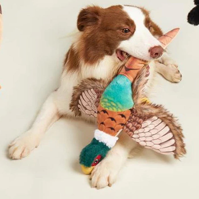 FAISÁN DE FELPA PLUSH DOGM