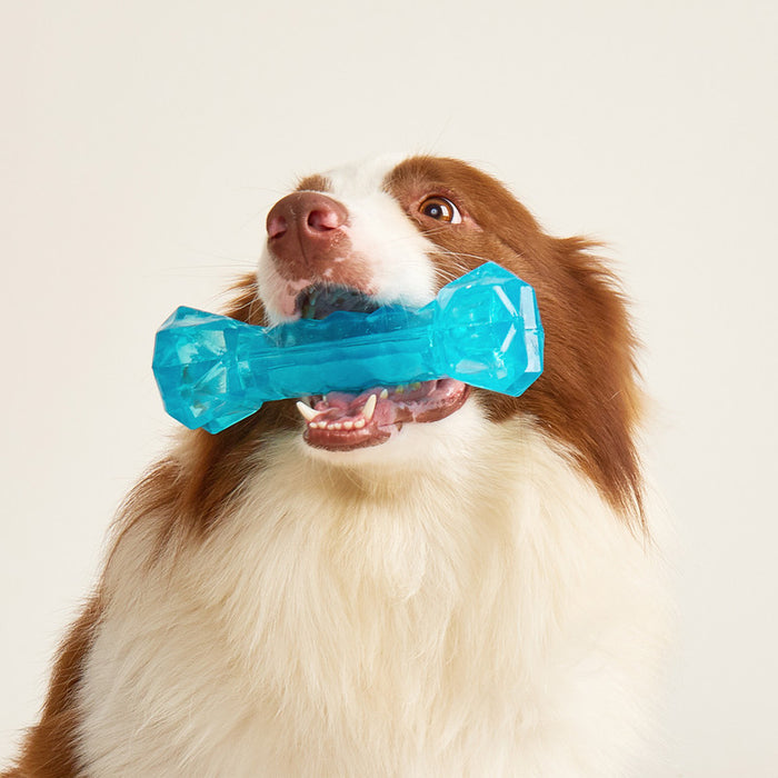 JUGUETE PARA PERRO HUESO REFRESCANTE