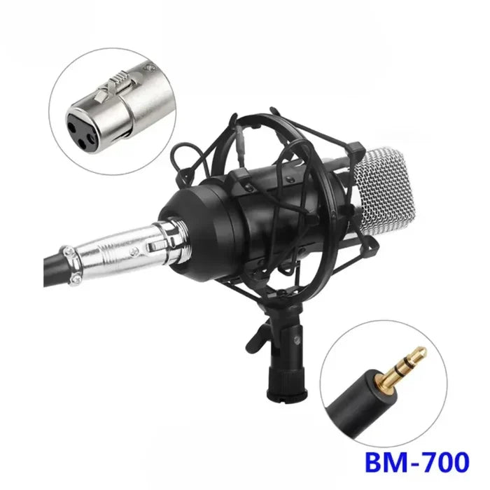 MICRÓFONO CONDENSADOR ESTUDIO PROFESIONAL BM700 CON ESTUCHE