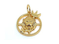 Royal Lion Pendant | LINK, design your own