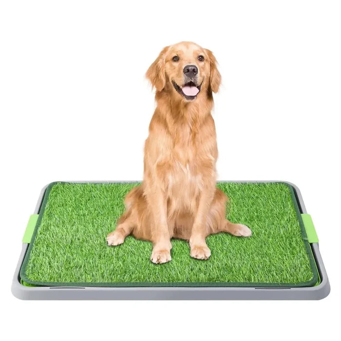 TAPETE SANITARIO GRANDE PARA PERROS CON BANDEJA