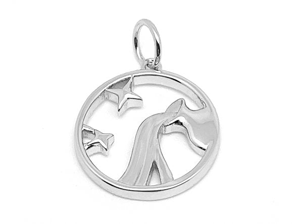 Silver / Aquarius