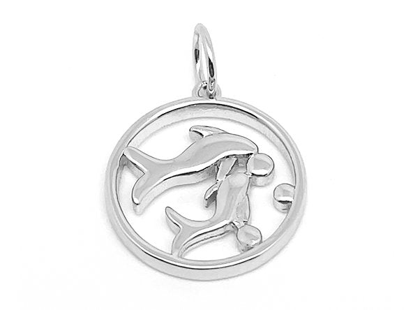 Silver / Pisces