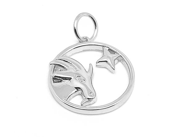 Silver / Capricorn
