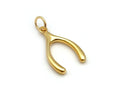 Wishbone Pendant | LINK, design your own